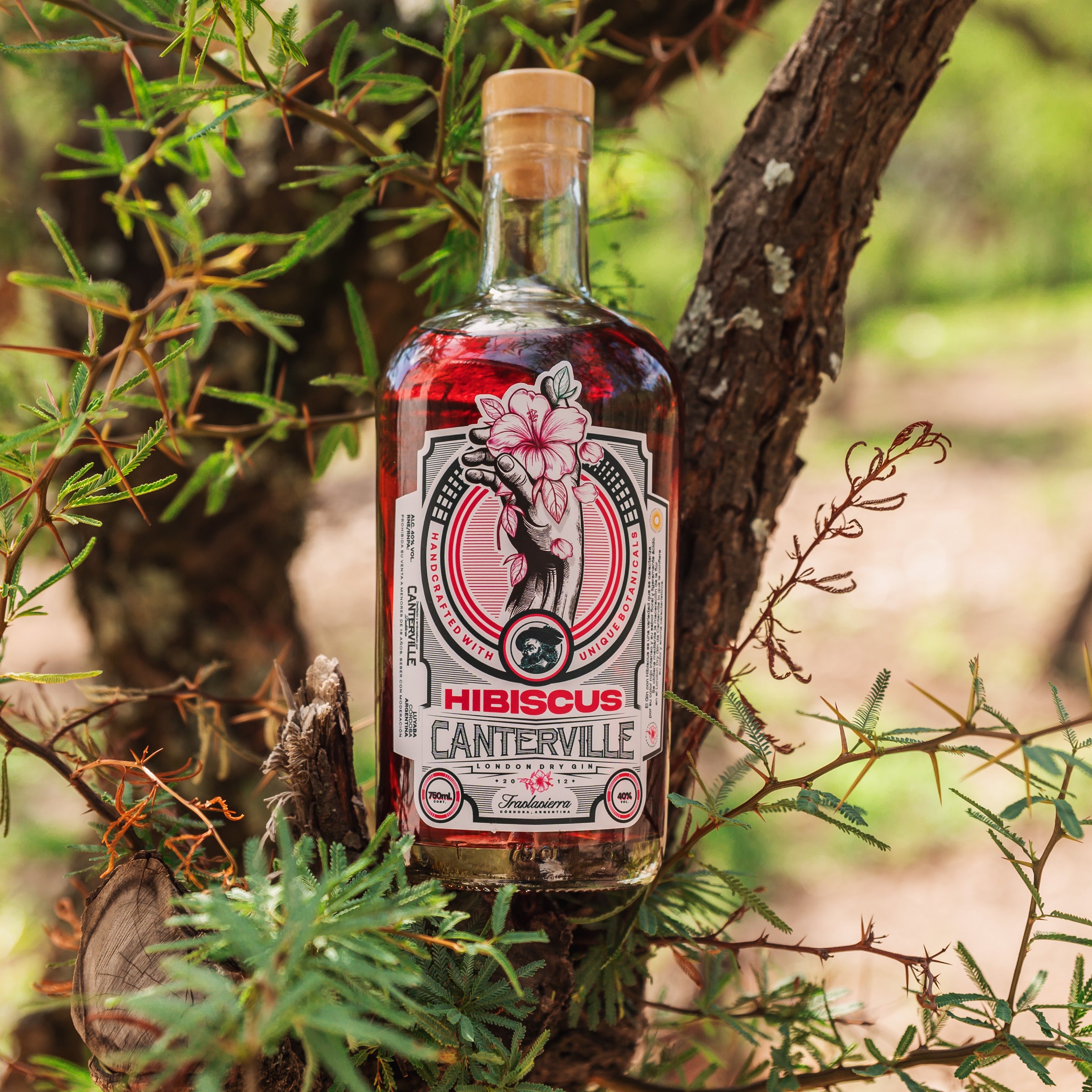 Hibiscus Gin
