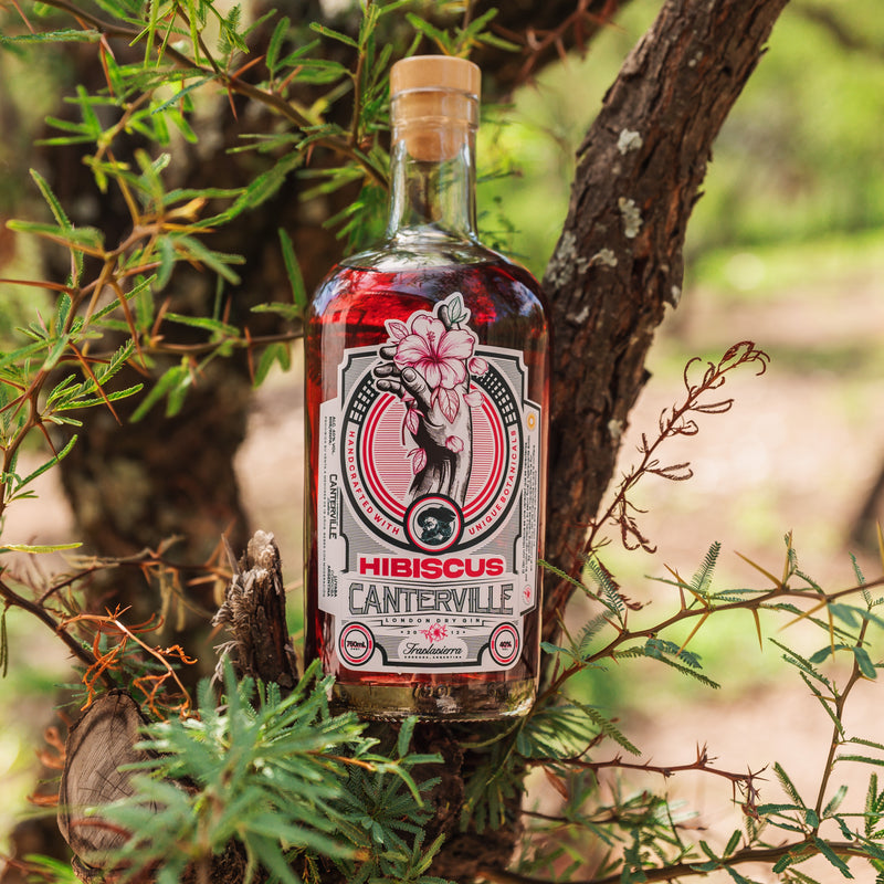 Hibiscus Gin