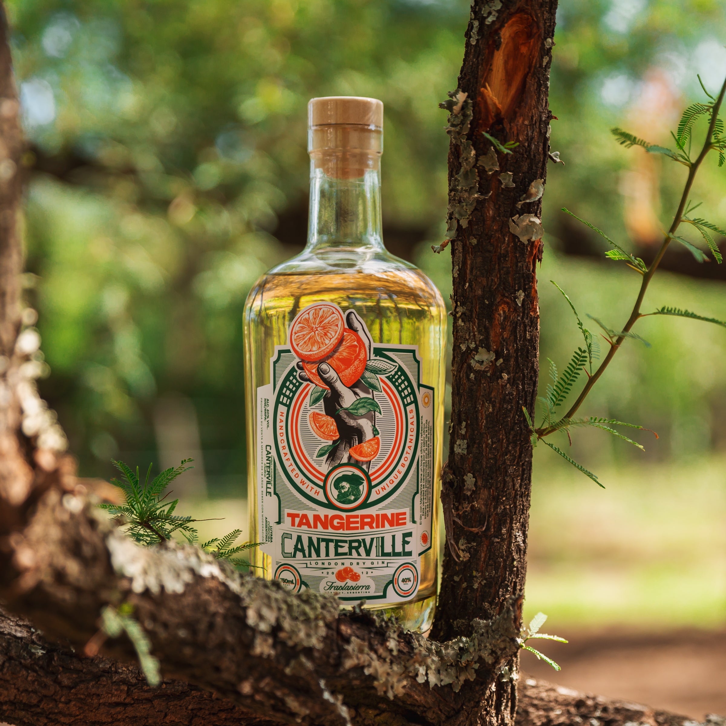 Tangerine Gin